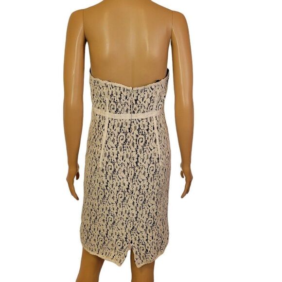 JS Collections Lace Strapless Dress (Size 8) - Picture 4 of 8
